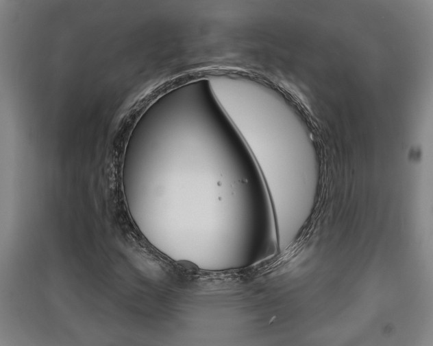 X0000091511159200708170944
