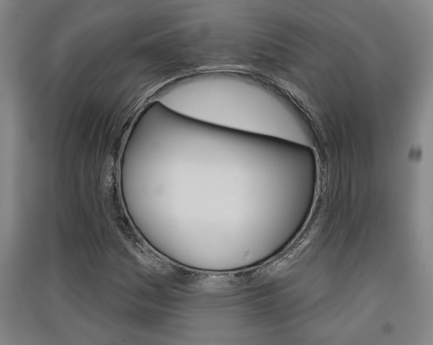 X0000091511161200708170944
