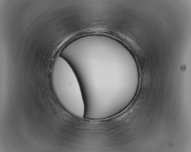 X0000091511162200708170944