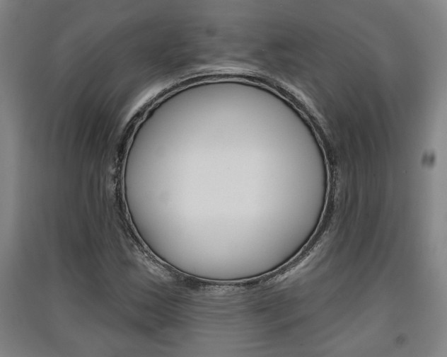X0000091511163200708170944