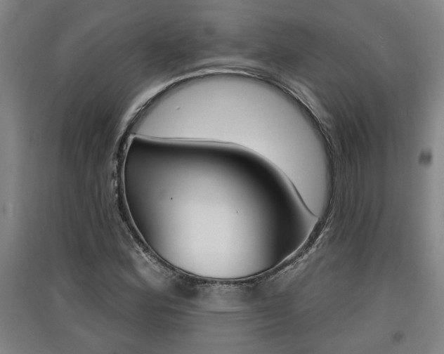 X0000091511164200708170944
