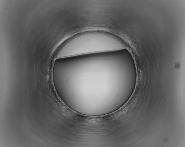 X0000091511165200708170944
