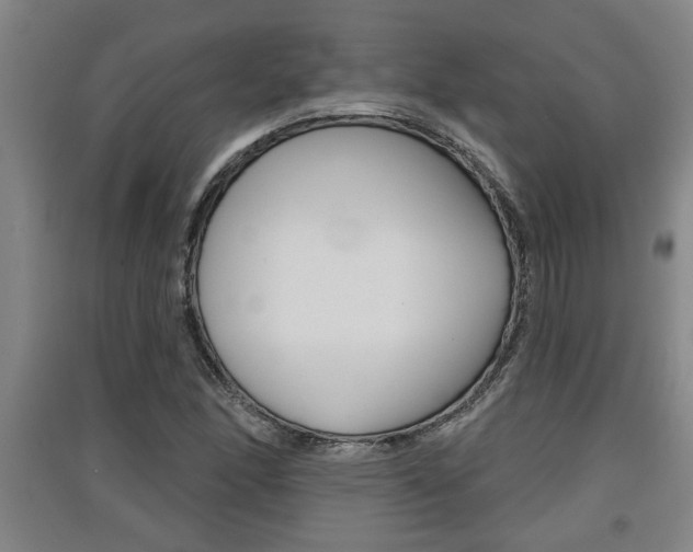 X0000091511166200708170944