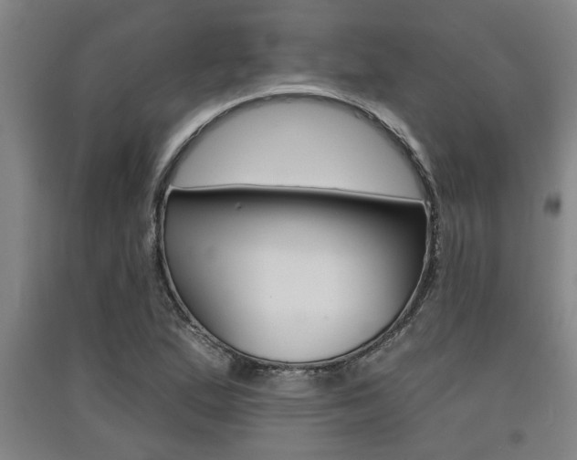 X0000091511167200708170943