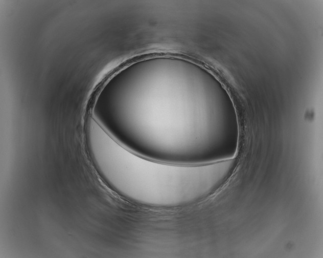 X0000091511168200708170943