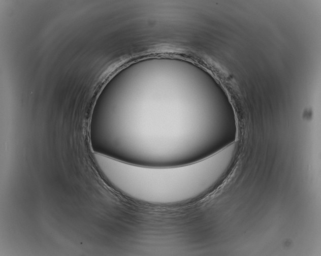 X0000091511169200708170943