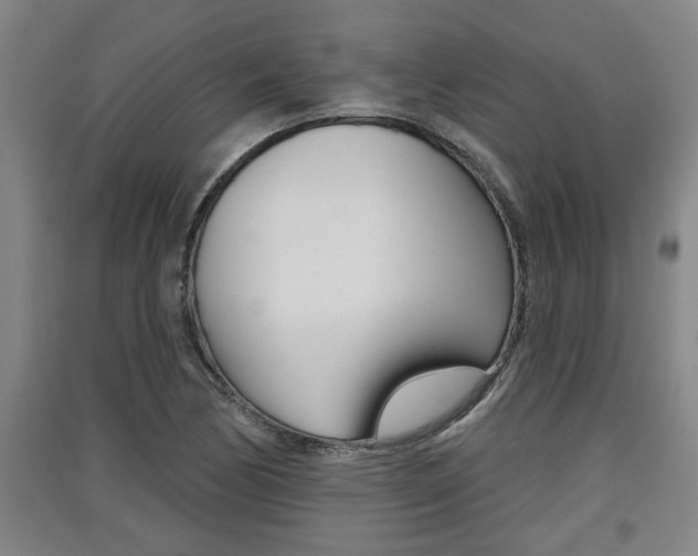X0000091511170200708170943