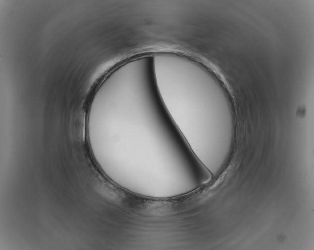 X0000091511171200708170943