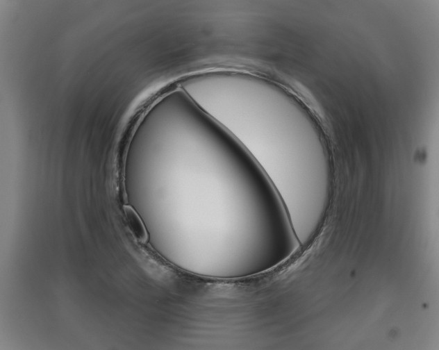 X0000091511172200708170943