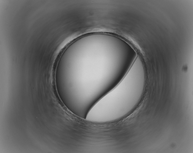 X0000091511173200708170943