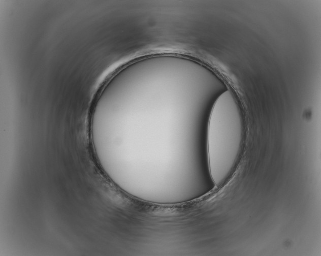 X0000091511174200708170943