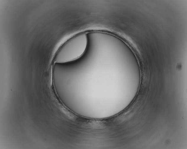 X0000091511175200708170943