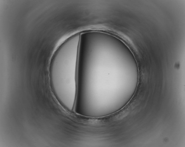 X0000091511176200708170943