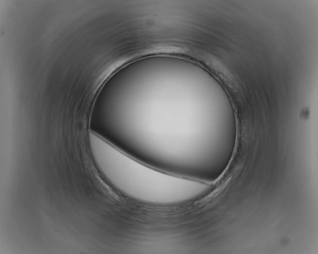 X0000091511177200708170943