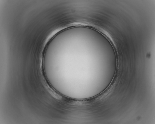X0000091511179200708170943