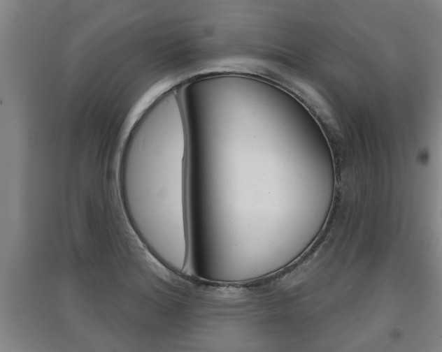 X0000091511180200708170943