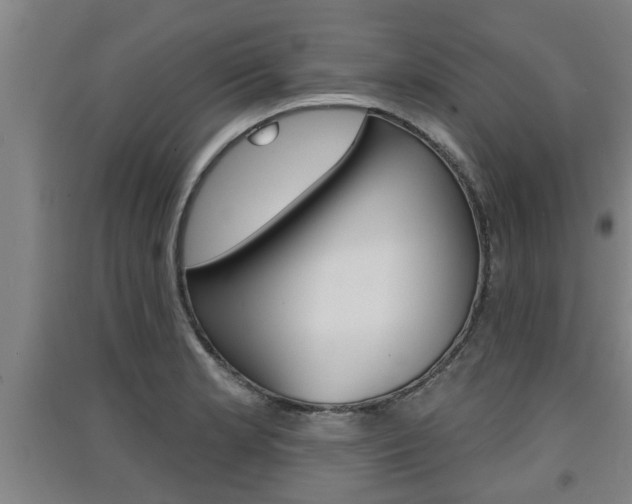 X0000091511181200708170943