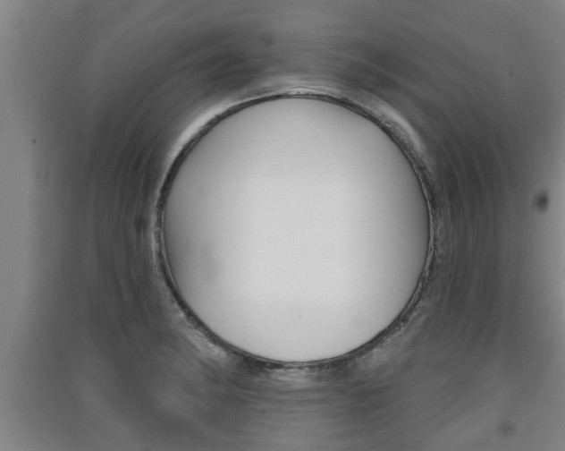 X0000091511182200708170943