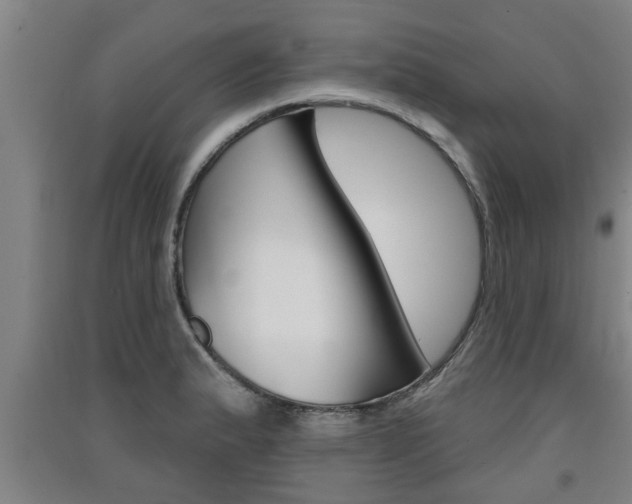 X0000091511183200708170943