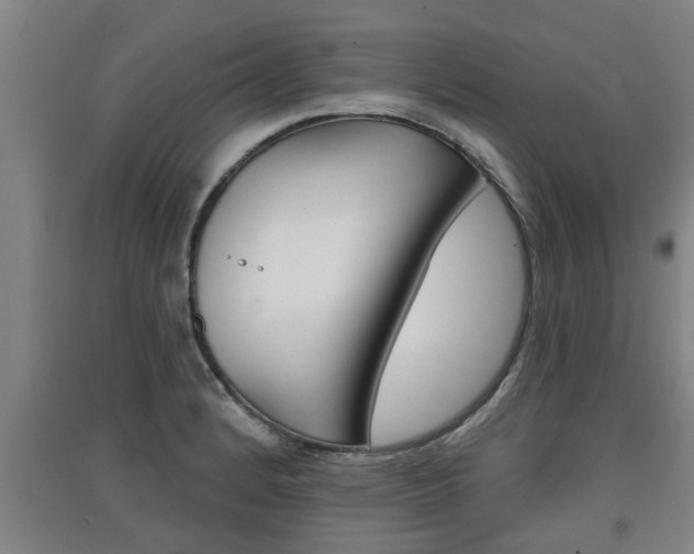 X0000091511184200708170943