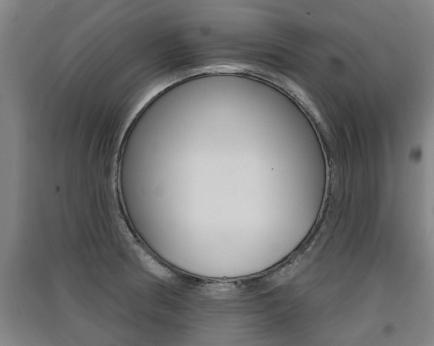 X0000091511186200708170943