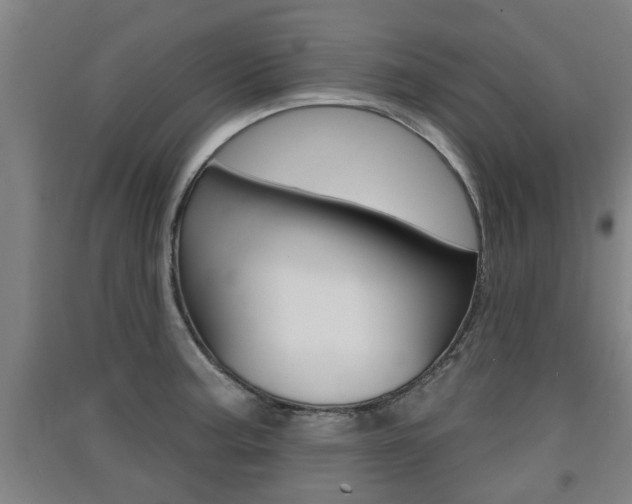 X0000091511187200708170943
