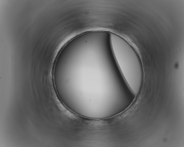 X0000091511189200708170943