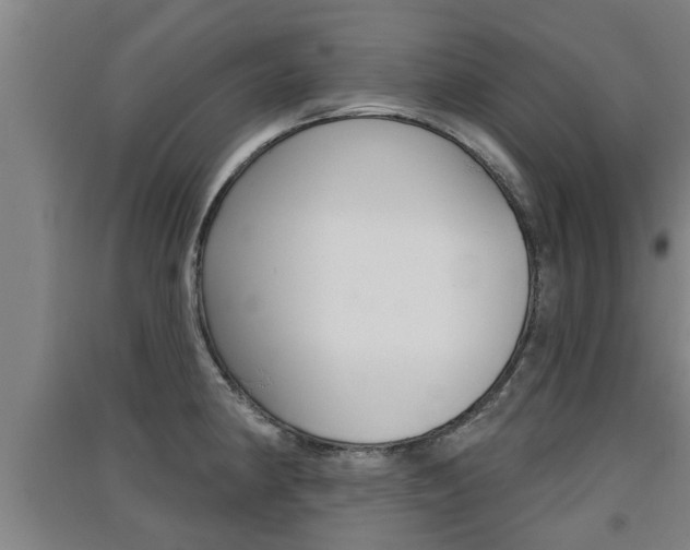X0000091511190200708170943