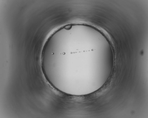 X0000091511191200708170943