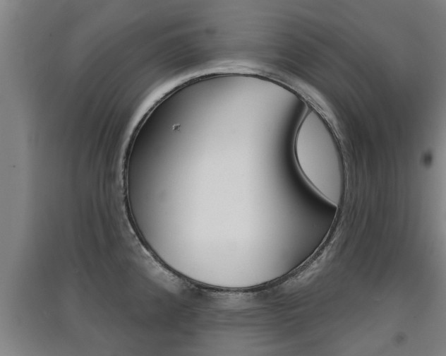 X0000091511192200708170943