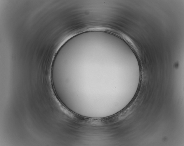 X0000091511194200708170943