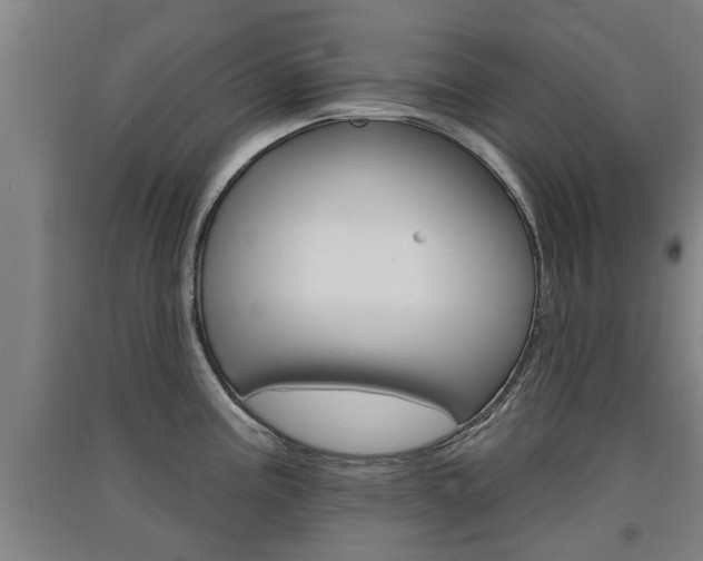 X0000091511195200708170943