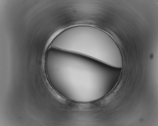 X0000091511196200708170943