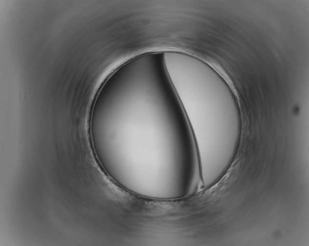 X0000091511197200708170943