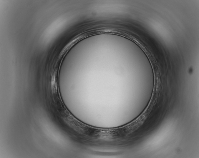 X0000091511198200708170943