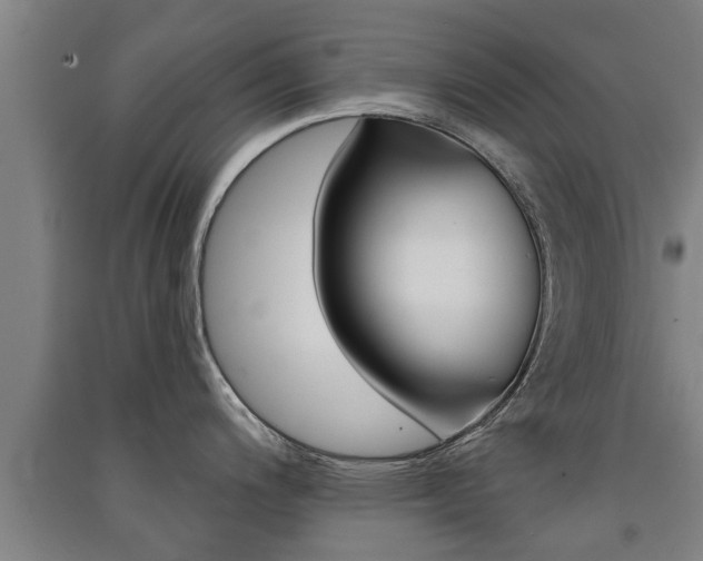 X0000091511200200708170943