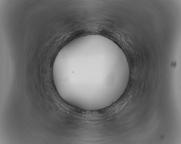 X0000091511201200708170942