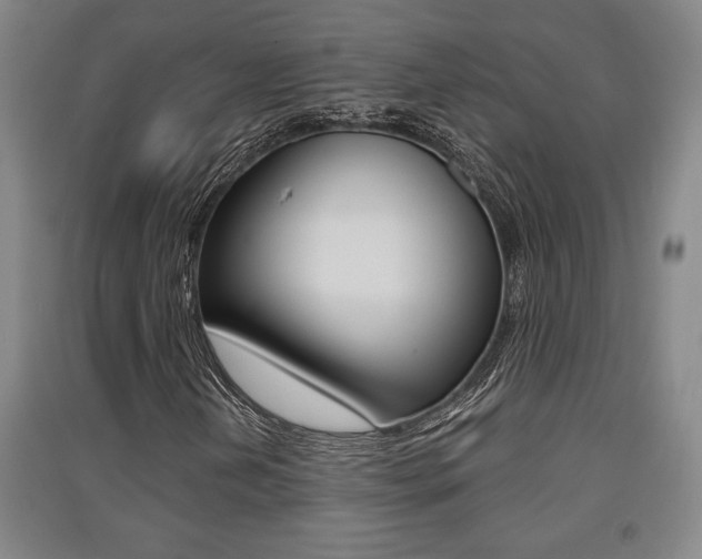 X0000091511202200708170943