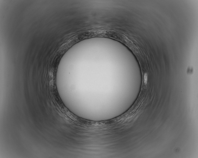 X0000091511203200708170943