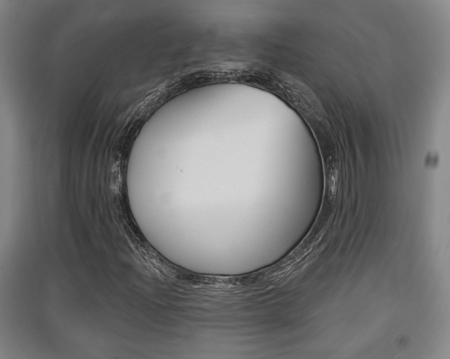 X0000091511204200708170943