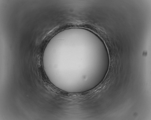 X0000091511205200708170943