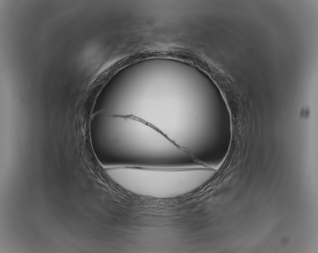 X0000091511206200708170943