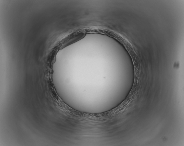 X0000091511207200708170943