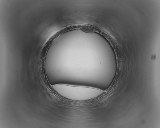 X0000091511208200708170943