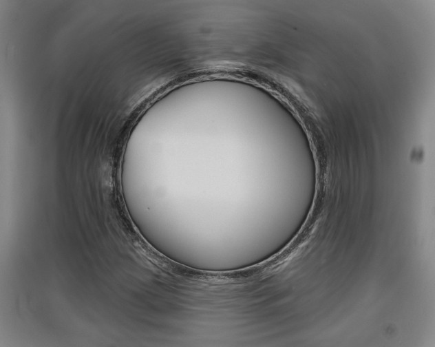 X0000091511209200708170943