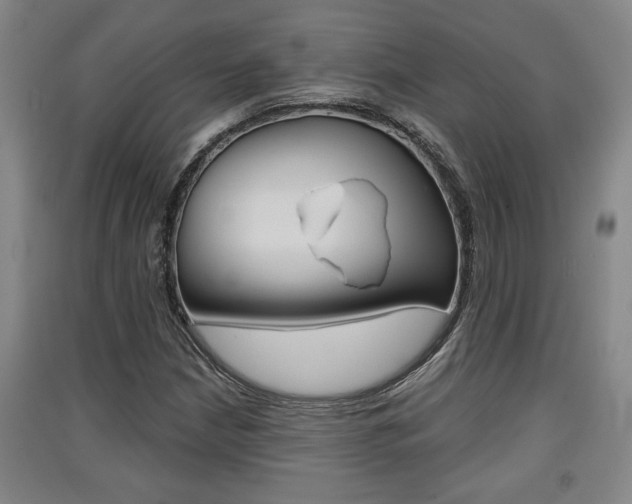 X0000091511210200708170943