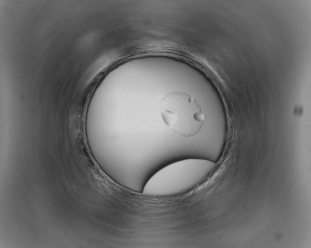 X0000091511211200708170943