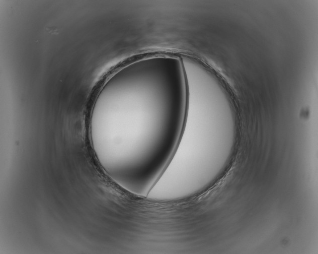 X0000091511214200708170943
