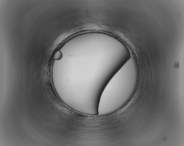 X0000091511215200708170943