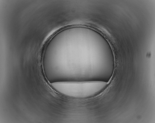 X0000091511216200708170943